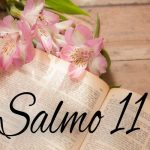 Salmo