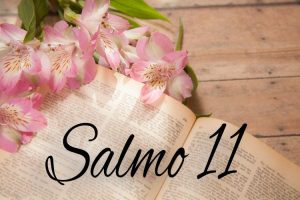 Salmo