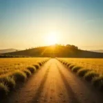 O que significa o evangelho